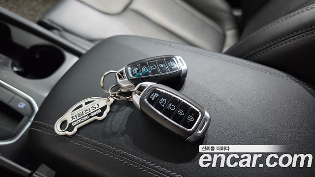 Hyundai Santa Fe (TM) Diesel 2.0 2WD Premium 2020 — фото 15