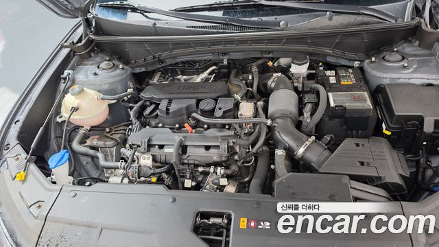 Hyundai Tucson (NX4) Gasoline 1.6 Turbo 2WD Premium 2023 — фото 6