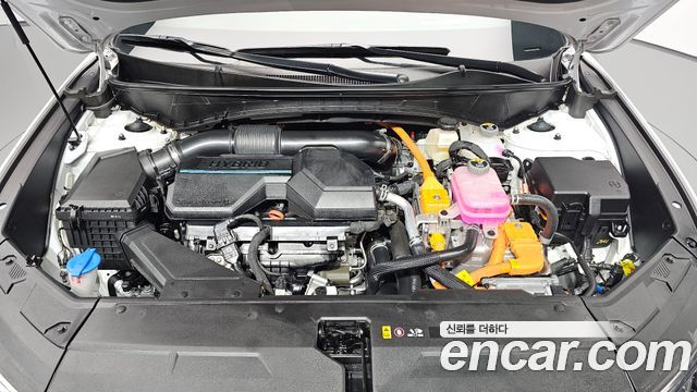 Hyundai Tucson Hybrid (NX4) HEV 1.6 2WD Inspiration 2024 — фото 6