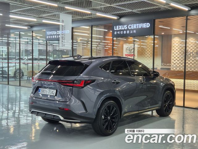 Lexus NX450h+ (II) F-Sport 2025 — фото 2