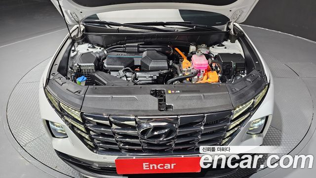 Hyundai Tucson Hybrid (NX4) Inspiration 2WD 2023 — фото 6