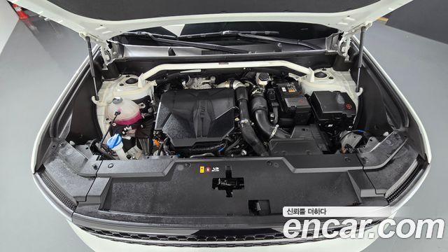 Hyundai Santa Fe (MX5) Gasoline 2.5T 4WD Calligraphy 2025 — фото 6