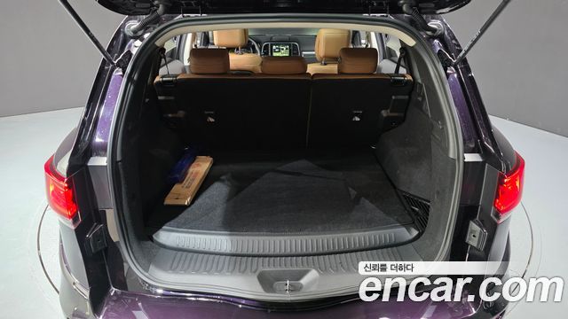 Renault Korea QM6 2.0 LPe RE Signature 2WD 2023 — фото 23