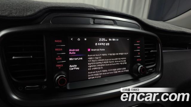 Kia Sorento Gasoline 2.0 Turbo 2WD Master Special 2020 — фото 16