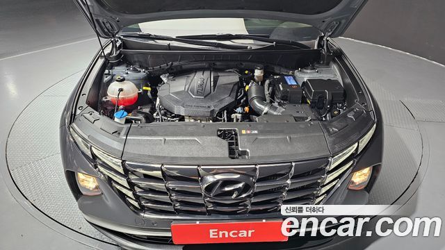 Hyundai Tucson (NX4) Diesel 2.0 4WD Premium 2023 — фото 6