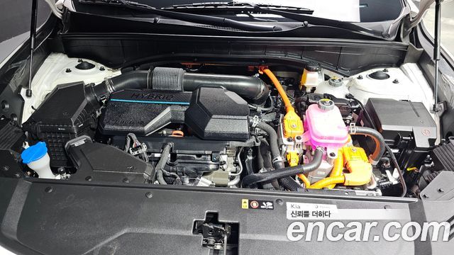 Kia Sorento (IV) HEV 1.6 2WD Prestige 2023 — фото 6