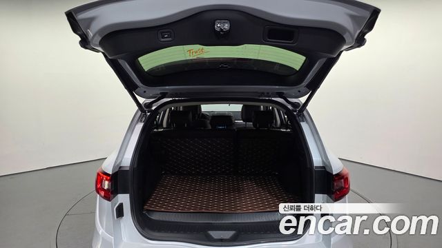 Renault Korea QM6 2.0 LPe RE 2WD 2020 — фото 20