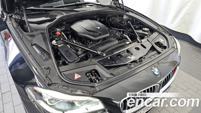 BMW 5 Series (F10) 520d xDrive Luxury Plus 2016 — фото 6