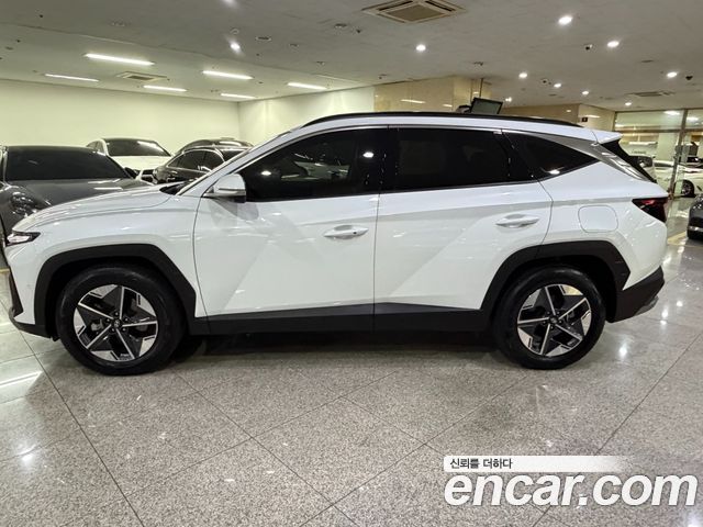 Hyundai Tucson (NX4) Diesel 2.0 4WD Premium 2024 — фото 3