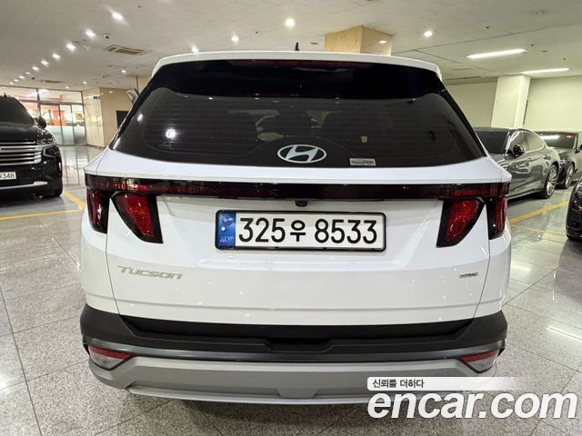 Hyundai Tucson (NX4) Diesel 2.0 4WD Premium 2024 — фото 4