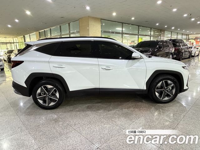 Hyundai Tucson (NX4) Diesel 2.0 4WD Premium 2024 — фото 5