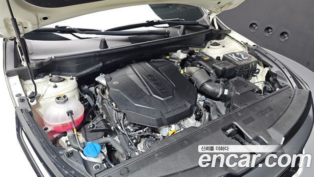 Kia Sportage (V) Diesel 2.0 2WD Nobleless 2023 — фото 6