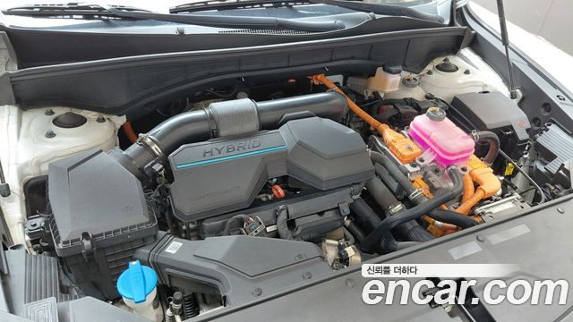 Kia Sorento (IV) HEV 1.6 2WD Noblesse 2023 — фото 6