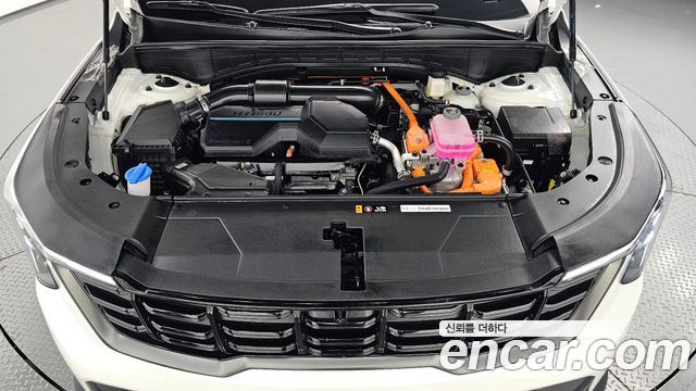 Kia Sorento (IV) HEV 1.6 2WD Gravity 2025 — фото 6
