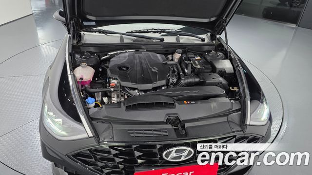 Hyundai Sonata (DN8) 2.0 Premium Plus 2022 — фото 6