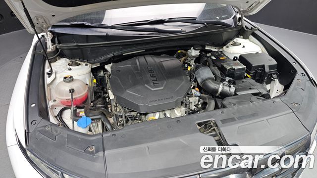 Hyundai Tucson (NX4) Diesel 2.0 2WD Modern 2023 — фото 6