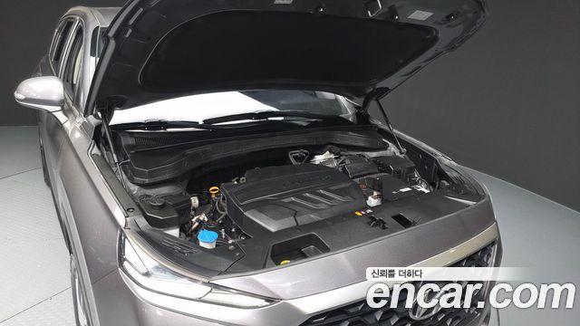 Hyundai Santa Fe (TM) Diesel 2.0 2WD Premium 2019 — фото 6