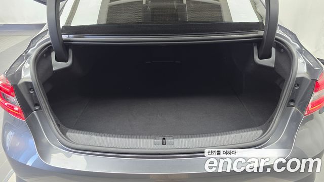 Renault Korea SM6 2.0 LPe RE (Disabled) 2016 — фото 19