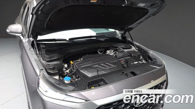 Hyundai Santa Fe (TM) Diesel 2,0 4WD Exclusive 2019 — фото 6