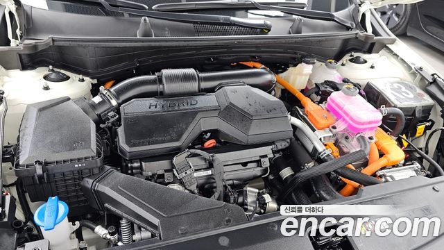 Kia Sportage Hybrid (V) HEV 1.6 2WD Signature 2025 — фото 6