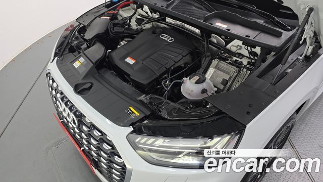 Audi Q5 (FY) 40 TDI Quattro Sportback Premium 2023 — фото 6