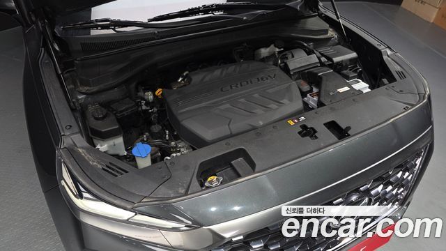 Hyundai Santa Fe (TM) Diesel 2.2 2WD Prestige 2019 — фото 6