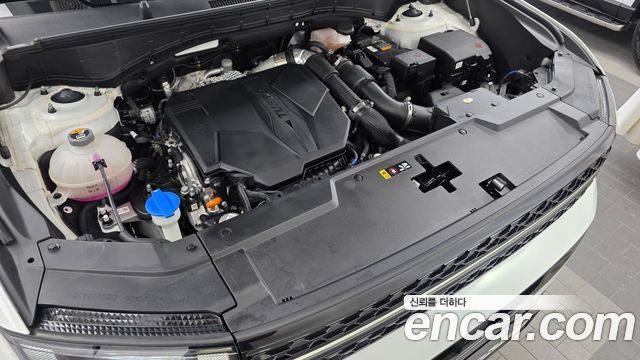 Hyundai Santa Fe (MX5) Gasoline 2.5T 4WD Calligraphy 2025 — фото 6