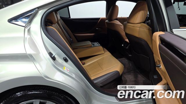 Lexus ES300h (VII) Luxury Plus 2019 — фото 11