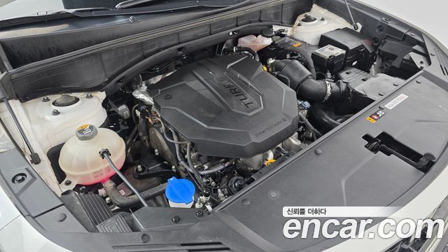 Kia Sorento (IV) Diesel 2.2 4WD Noblesse 2023 — фото 6