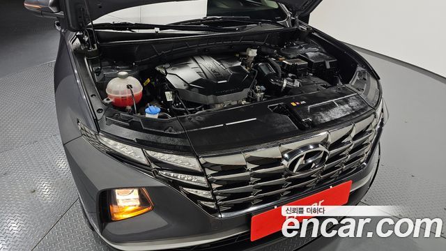Hyundai Tucson (NX4) Diesel 2.0 4WD Modern 2023 — фото 6