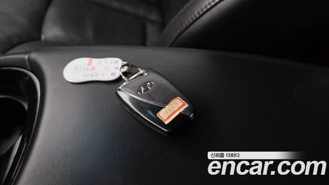 Hyundai Grandeur (HG) LPG HG300 Handicapped Only 2011 — фото 28
