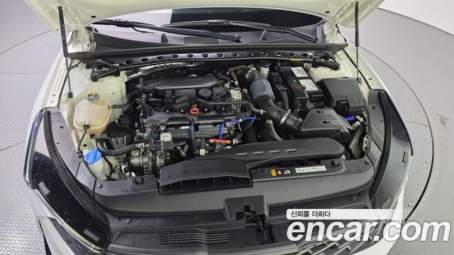 Kia K5 (III) 1.6 Turbo Noblesse 2023 — фото 6