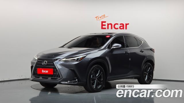 Lexus NX350h (II) Premium 2025 — фото 1