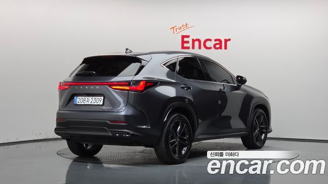 Lexus NX350h (II) Premium 2025 — фото 2