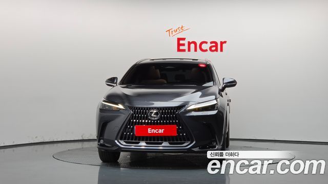 Lexus NX350h (II) Premium 2025 — фото 3