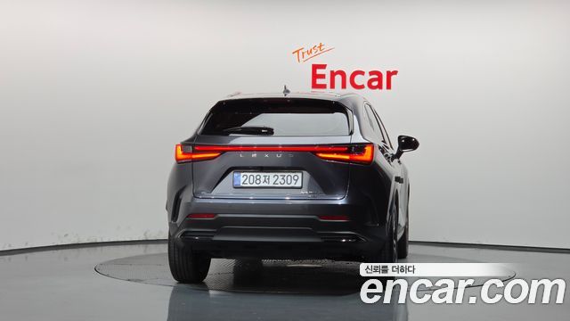 Lexus NX350h (II) Premium 2025 — фото 4