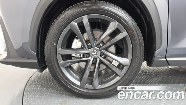 Lexus NX350h (II) Premium 2025 — фото 5