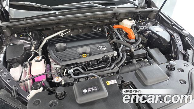 Lexus NX350h (II) Premium 2025 — фото 6