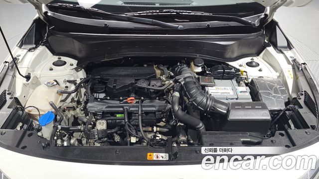 Kia Seltos Gasoline 1.6 Turbo 2WD Trendy 2023 — фото 6