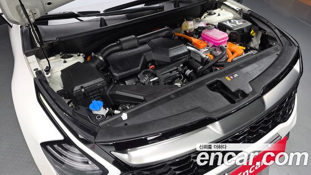 Kia Sportage Hybrid (V) Signature 2WD 2024 — фото 6