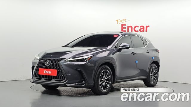 Lexus NX450h+ (II) Premium