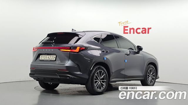 Lexus NX450h+ (II) Premium 2022 — фото 2