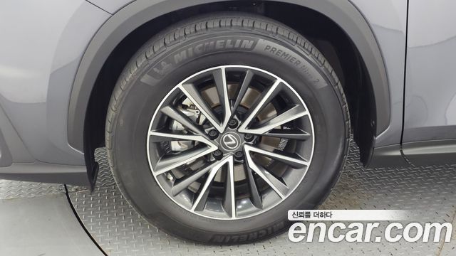 Lexus NX450h+ (II) Premium 2022 — фото 5