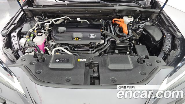 Lexus NX450h+ (II) Premium 2022 — фото 6