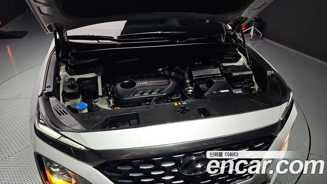 Hyundai Santa Fe (TM) Gasoline 2.0T 4WD Inspiration 2019 — фото 6