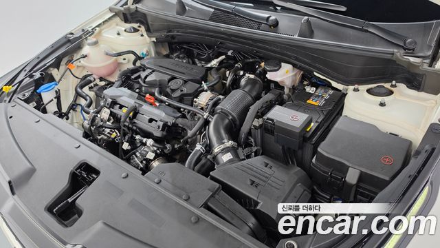 Kia Sportage (V) Gasoline 1.6 Turbo 2WD 30TH Edition 2024 — фото 6