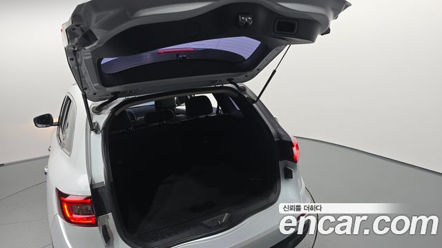 Renault Korea QM6 Diesel 2WD RE 2019 — фото 20