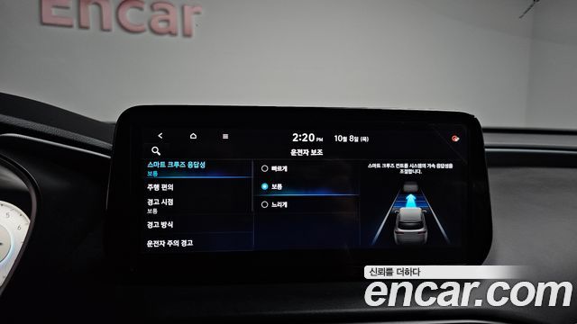 Hyundai Santa Fe Gasoline 2.5T 2WD Calligraphy 2021 — фото 30