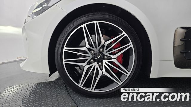 Kia Stinger Meister 2.5 Platinum 2022 — фото 5
