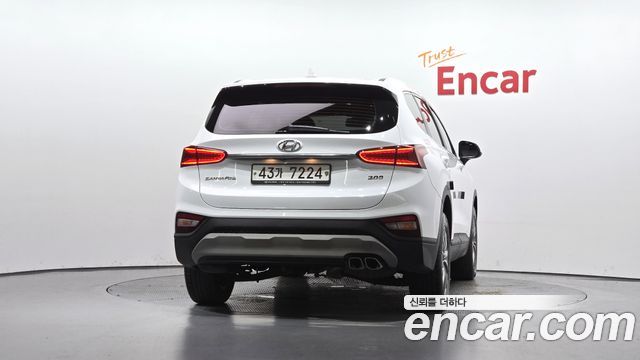 Hyundai Santa Fe (TM) Diesel 2.0 2WD Premium 2019 — фото 4